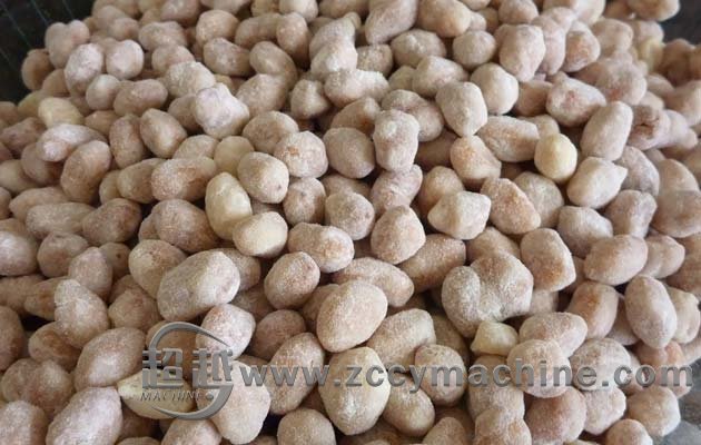 Peanut Coating Machine