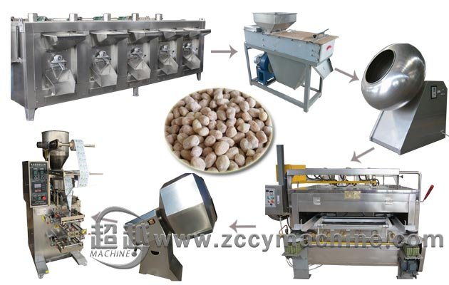 Coated Peanut Processing Line